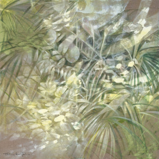 Hawaii Plant Series | 'Rainforest Bath'