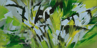 Hawaii Plant Series  | Sassy Plants