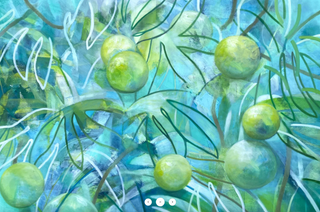 Hawaii Plants Series | 'Ulu'