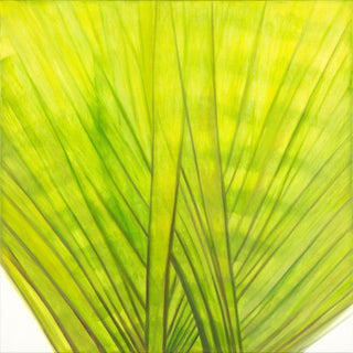 Palm Weave
