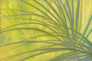 Windblown Palms